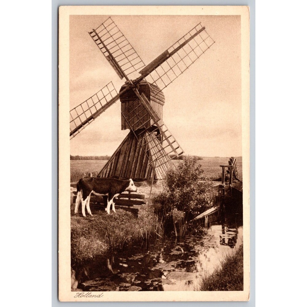 1913 Dutch Windmill Cow Vintage Postcard Photogravure Weenenk & Snel Den Haag